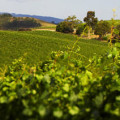 De Bortoli Yarra Valley