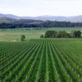 Domaine Chandon