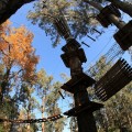 Trees Adventure Trees Adventure
