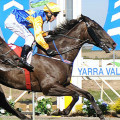 Yarra Valley Racing Yarra Valley Racing