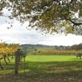 Five Oaks Winery Five Oaks Winery